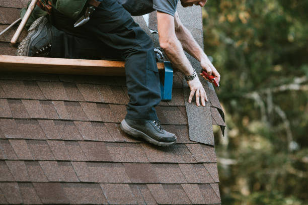 Best Roof Gutter Cleaning  in Mesquite, NV